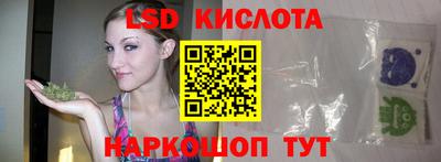 крисы Малгобек