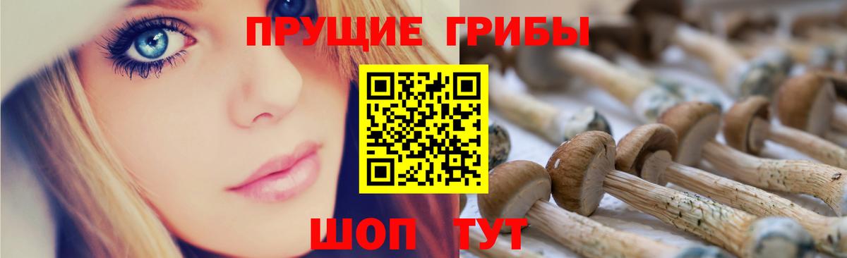 Галлюциногенные грибы прущие грибы  Псилоцибиновые грибы мицелий  Вход с VPN  Волжский 